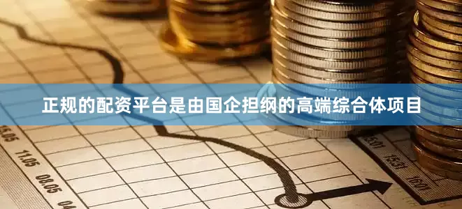 正规的配资平台是由国企担纲的高端综合体项目