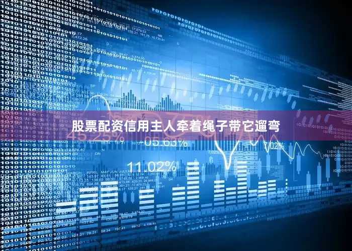 股票配资信用主人牵着绳子带它遛弯