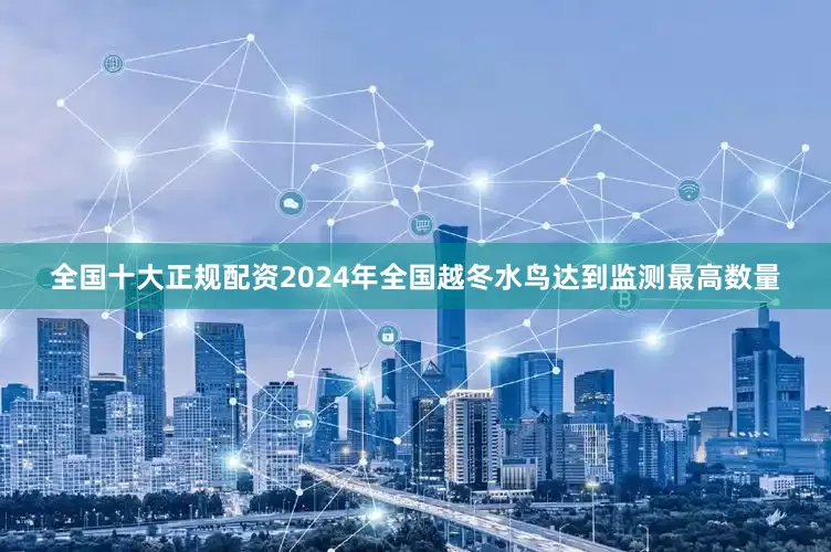 全国十大正规配资2024年全国越冬水鸟达到监测最高数量