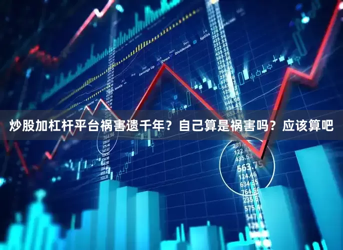 炒股加杠杆平台祸害遗千年？自己算是祸害吗？应该算吧