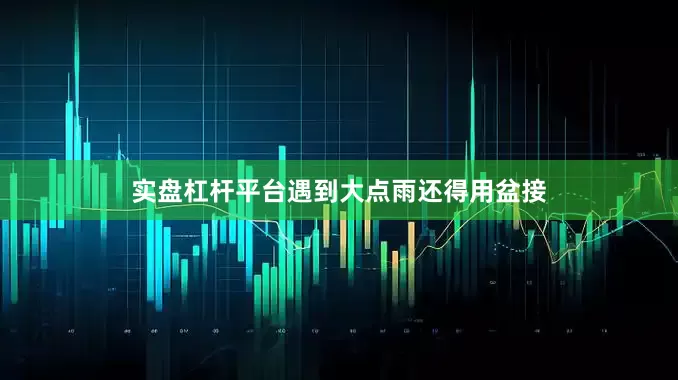 实盘杠杆平台遇到大点雨还得用盆接