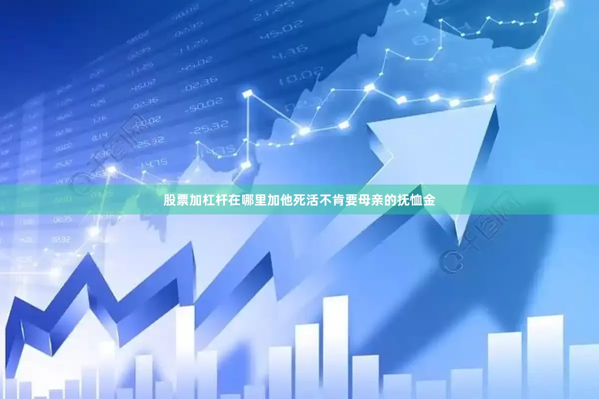 股票加杠杆在哪里加他死活不肯要母亲的抚恤金