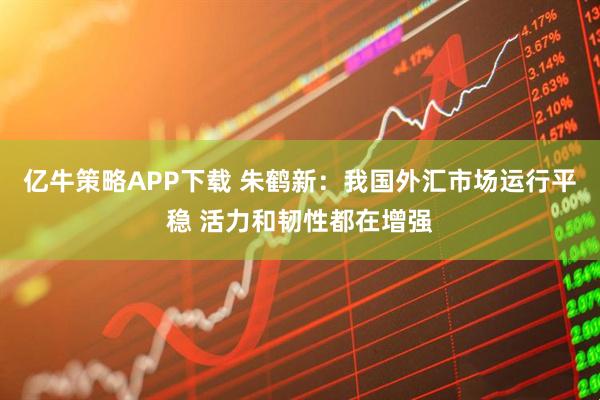亿牛策略APP下载 朱鹤新：我国外汇市场运行平稳 活力和韧性都在增强