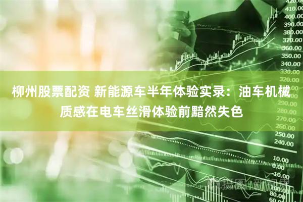 柳州股票配资 新能源车半年体验实录：油车机械质感在电车丝滑体验前黯然失色