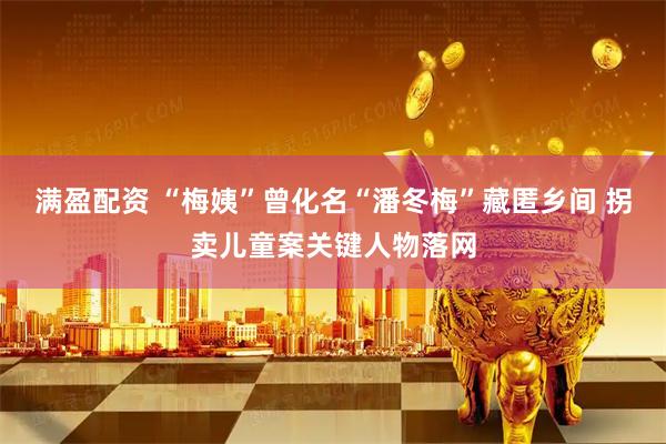 满盈配资 “梅姨”曾化名“潘冬梅”藏匿乡间 拐卖儿童案关键人物落网