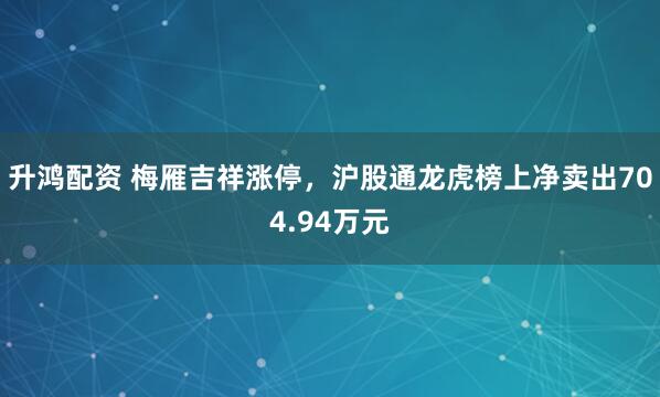 升鸿配资 梅雁吉祥涨停，沪股通龙虎榜上净卖出704.94万元