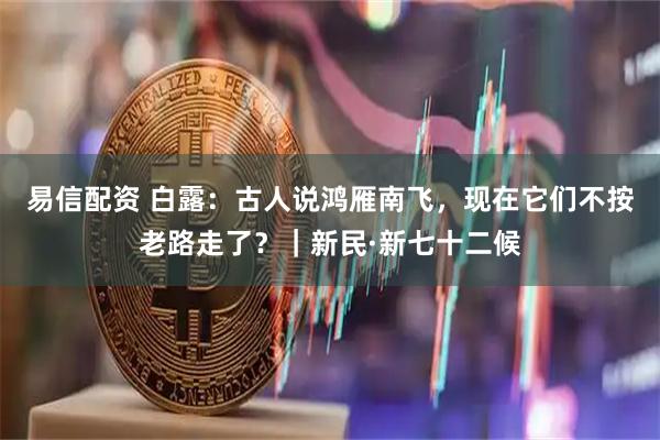 易信配资 白露：古人说鸿雁南飞，现在它们不按老路走了？｜新民·新七十二候